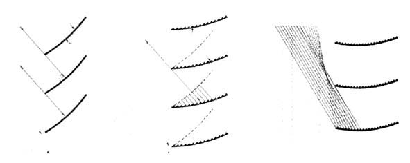 retrolamellen